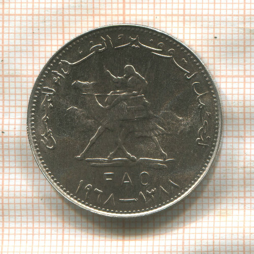 25 гирш. Судан. F.A.O. 1968г