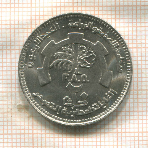 20 гирш. Судан. F.A.O. 1985г