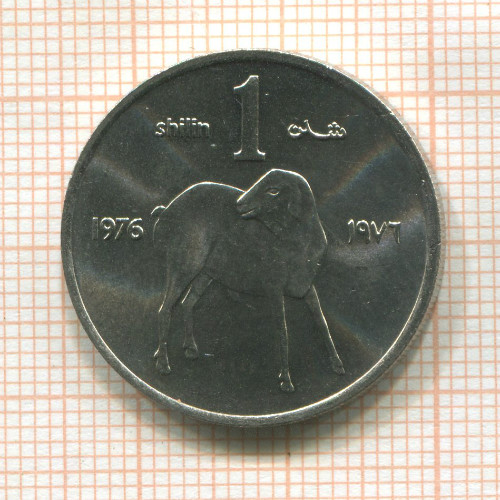 1 шиллинг. Сомали. F.A.O. 1976г