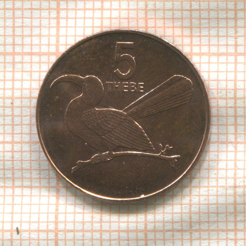 5 тебе. Ботсвана. F.A.O. 1991г